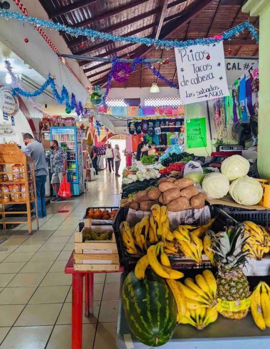 Casa Anuiti Centrica Ubicacion. Lägenhet San José del Cabo Exteriör bild