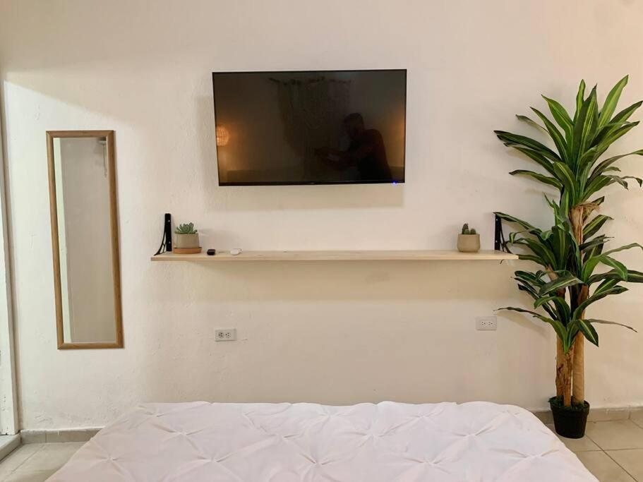 Casa Anuiti Centrica Ubicacion. Lägenhet San José del Cabo Exteriör bild